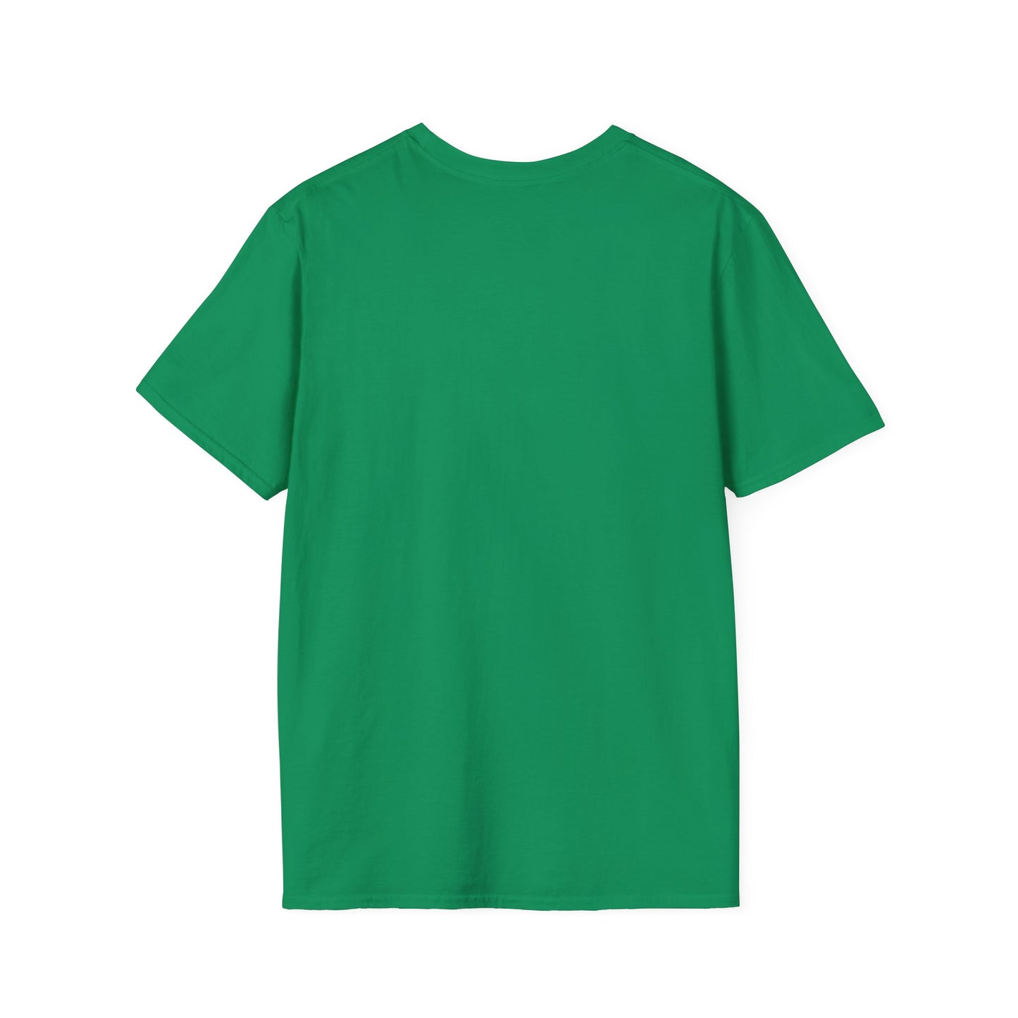 "Hot Mess Express" Funny & Bold T-Shirt β Ironic Confidence Tee for Chaotic, Cool, and Unapologetically You
