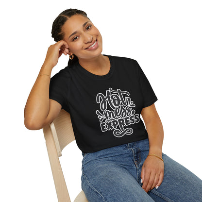 "Hot Mess Express" Funny & Bold T-Shirt – Ironic Confidence Tee for Chaotic, Cool, and Unapologetically You