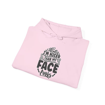 Funny 'I'm Nicer Than My Face Looks' Hoodie – Sarcastic & Stylish