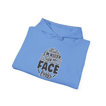 Funny 'I'm Nicer Than My Face Looks' Hoodie – Sarcastic & Stylish